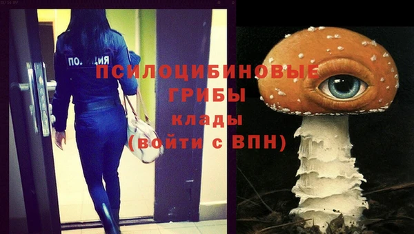 jwh Алзамай