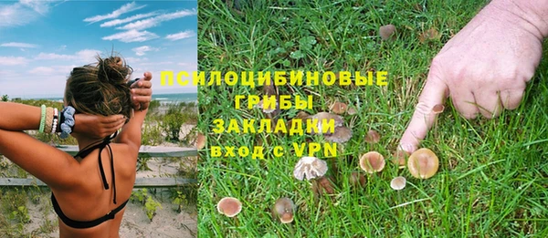 стафф Алексеевка